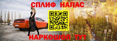 твердый Будённовск