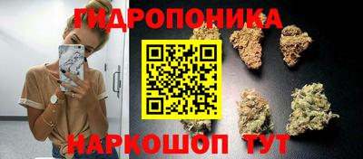 твердый Будённовск