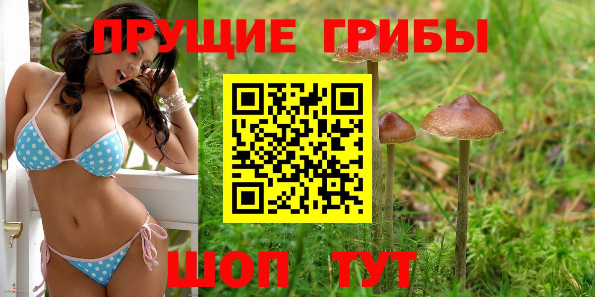 Псилоцибиновые грибы MAGIC MUSHROOMS  Вход с VPN  наркошоп  Челябинск 